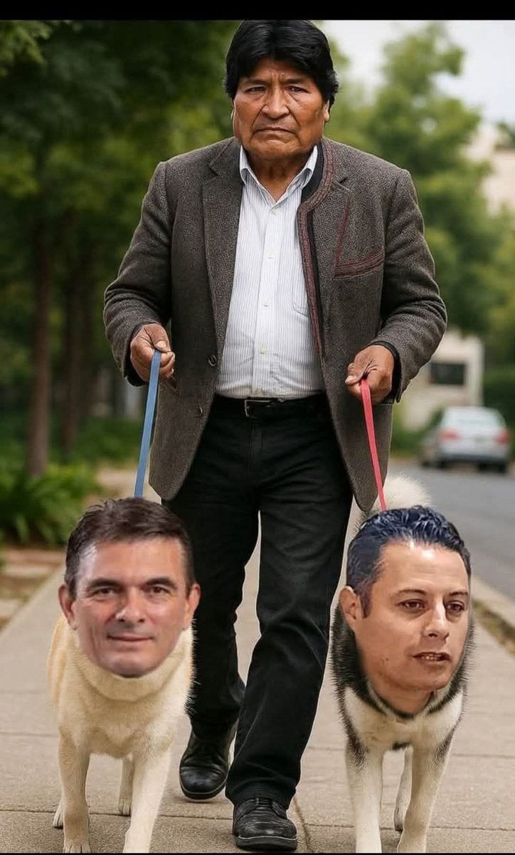 Alejand07215192's tweet photo. @ErbolDigital https://t.co/Iphv2lq7EL