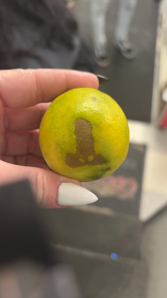 Jes 🥀🖤 tweet media