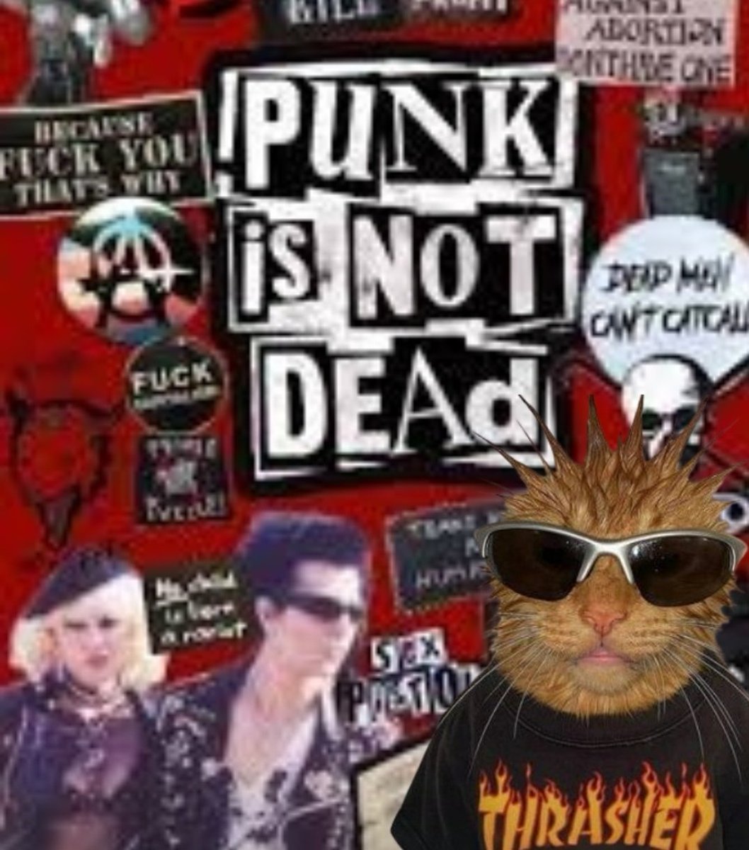 Cindi.eth (@cindikit) on Twitter photo 