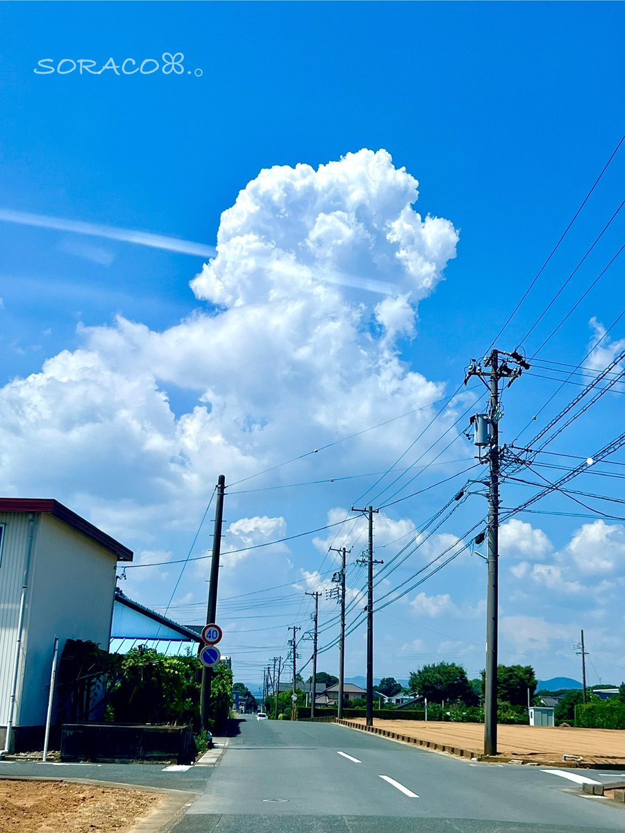 soracosorairo's tweet image. おはようございます☀️𓂃⟡.·

　　　　　三方原の夏雲

#iPhone13Pro