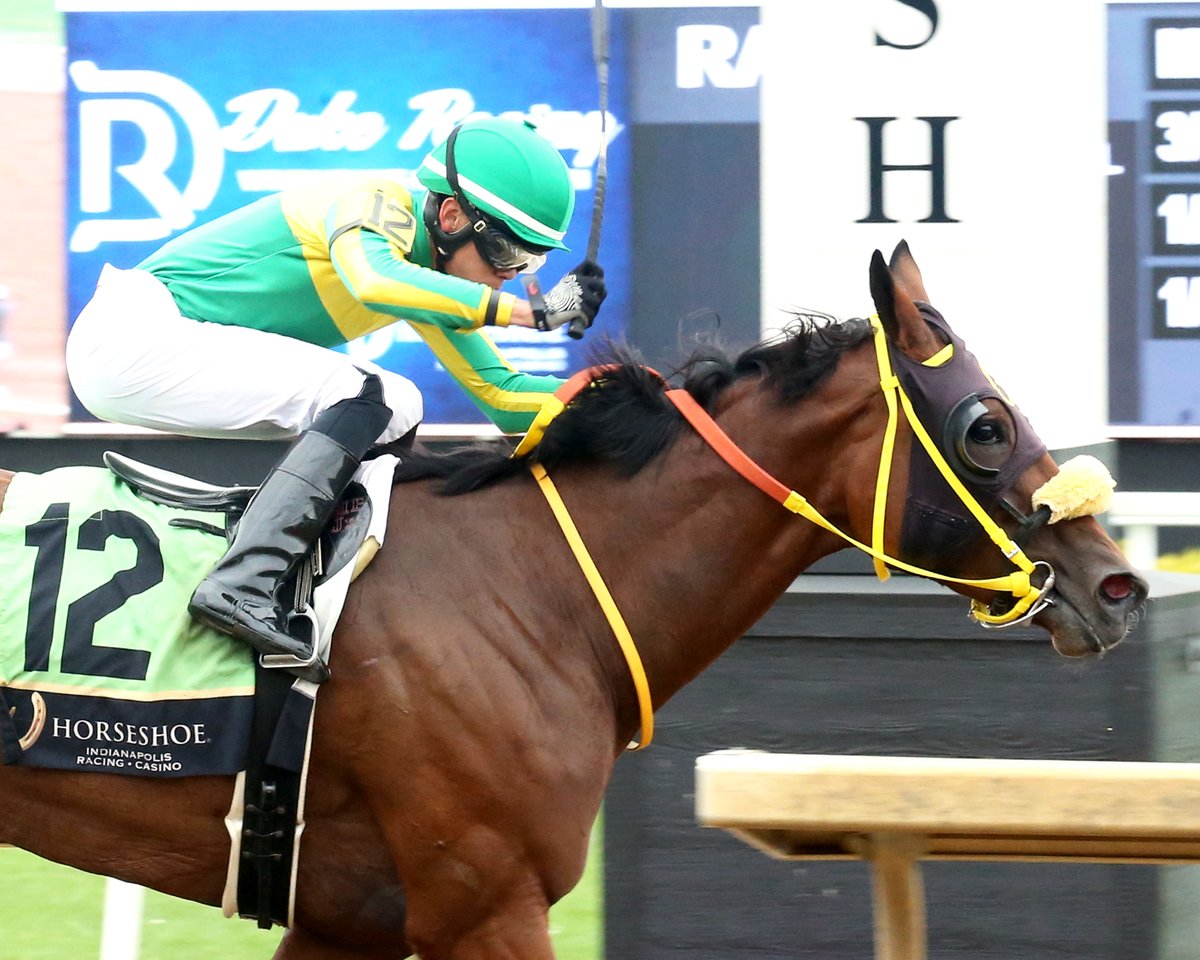 Tammy Knox (@hsindytammy) on Twitter photo Louder Than Words roars home in Peony Handicap at Horseshoe Indianapolis: tammyknox.wordpress.com/2025/08/20/lou⦠Photos by Coady Media #racelikeacaesar <a href="/IndianaTOBA/">ITOBA</a> <a href="/IndianaHBPA/">Indiana HBPA</a> <a href="/INThoroughbred/">Indiana Thoroughbred Development Program</a> <a href="/IndyTBAlliance/">IndianaThoroughbredAlliance</a> <a href="/jockeypedrozajr/">Marcelino Pedroza Jr.</a> Louder Than Words roars home in Peony Handicap at Horseshoe Indianapolis: tammyknox.wordpress.com/2025/08/20/lou⦠Photos by Coady Media #racelikeacaesar <a href="/IndianaTOBA/">ITOBA</a> <a href="/IndianaHBPA/">Indiana HBPA</a> <a href="/INThoroughbred/">Indiana Thoroughbred Development Program</a> <a href="/IndyTBAlliance/">IndianaThoroughbredAlliance</a> <a href="/jockeypedrozajr/">Marcelino Pedroza Jr.</a>