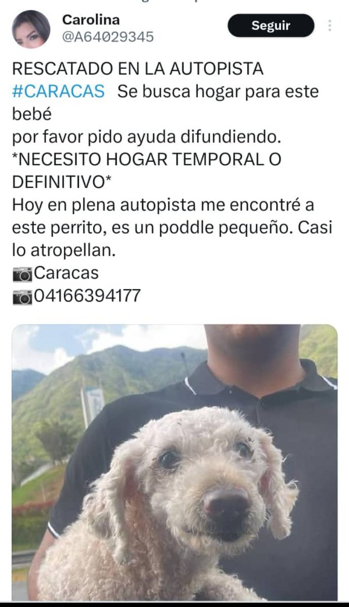 Zona Caracas 🙏🏻❤️🐶