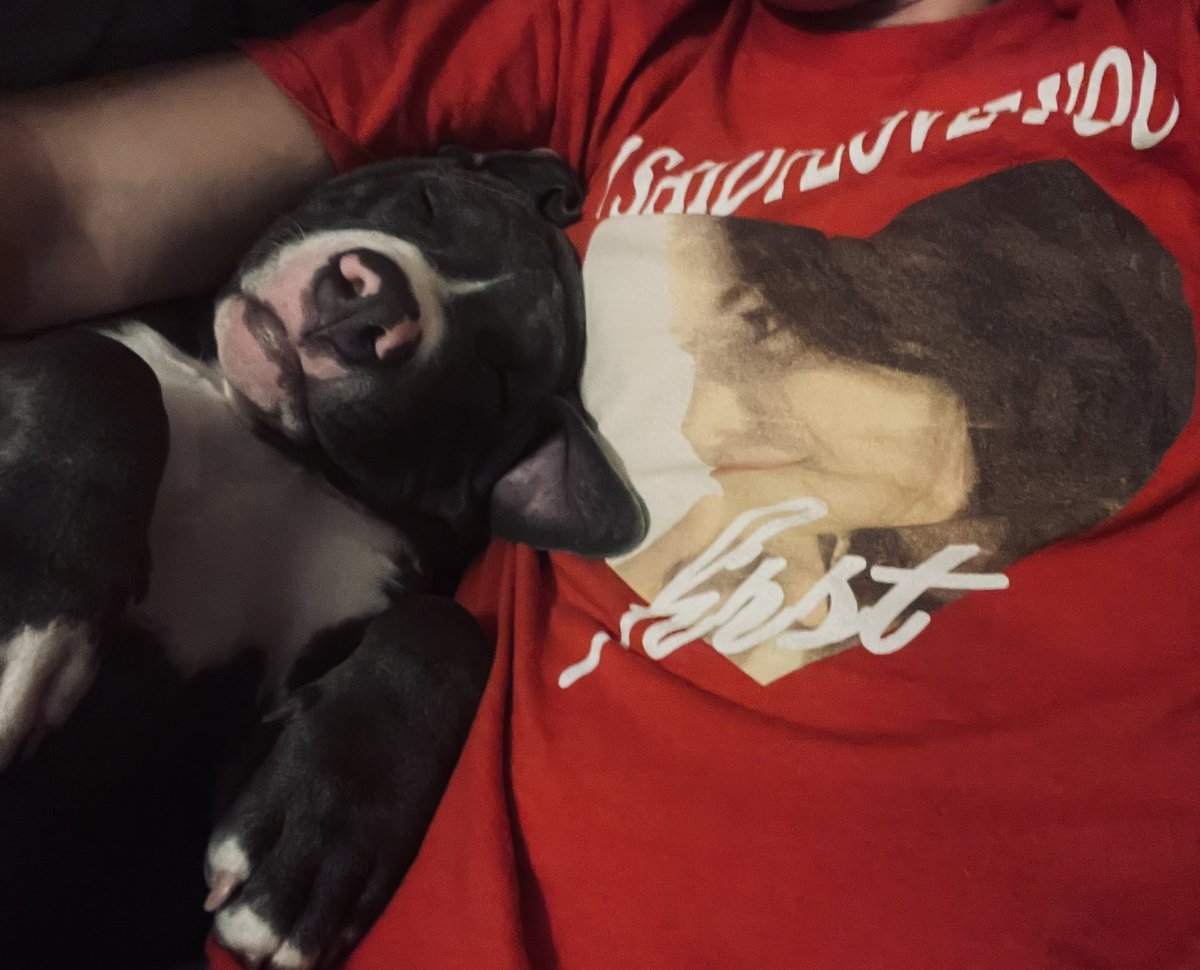 My foster puppy and Selena ❤️❤️😂 Good night 😴💤