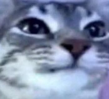 Si anuncian fecha de salida, o se estrena o cualquier cosa similar, finalmente hay Muslos Reveal