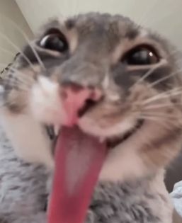 Ari 🦋✨️ tweet media