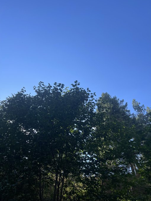 Watch Frilly Haze's leaked NSFW photo on TwXstars