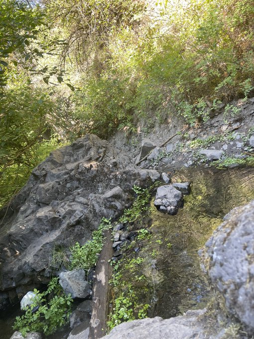 Watch Frilly Haze's leaked NSFW photo on TwXstars