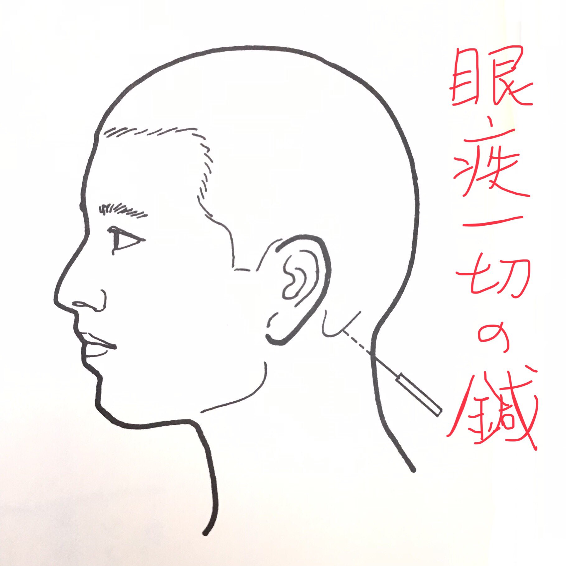 素霊の一本鍼　『柳谷秘法一本鍼伝書』を現代臨床に活かす(天・地・人治療の Amazon.co.jp: 素霊の一本鍼 『柳谷秘法一本鍼伝書』を現代臨床