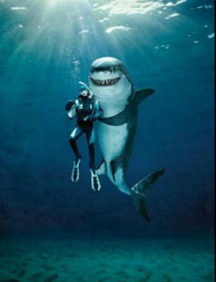 Organized Ghost Peace. (@thompsonterr) on Twitter photo <a href="/Bullsharkbite/">Total Bullshark (Joey)</a> <a href="/RickD_GK/">Rick Delzer</a> <a href="/GilbertWanda/">Wanda Gilbert๐ฅ</a> <a href="/marijotrue/">MariJo</a> <a href="/TheFloridaMike/">Florida Mike: VanceRubio2028</a> <a href="/Primrose771646/">Primrose</a> <a href="/ProjektJncojok/">โ๏ธ ๐โ๐๐พ๐โ๐ธ๐ ๐๐ โ๏ธ</a> <a href="/toxiccowboy1/">Toxic Cowboy</a> <a href="/StellarArtoisGB/">Stellar</a> <a href="/BobbyReader2/">Bobby R</a> <a href="/_AmaraL577/">@_AmaraL577</a> <a href="/CynthiaAli95222/">CTMAGA2020</a> <a href="/sep16000/">sep16000</a> <a href="/Bopper987/">BigBopper</a> <a href="/mona2Blightning/">Zelda</a> Thank you, Joey!! I appreciate you, my friend!!!
Inviting
<a href="/eliseOLeahy1/">elise1029</a>
<a href="/Sunshinentan/">Sunshine</a>
<a href="/falconmediateam/">๐ฆ
๐๐๐ Cโญ๏ธ๐
ฐ๏ธch ๐ซโ๐
พ๐ทโ ๐
ฑetter ๐ฑโife๐๐ ๐ฆ
</a>
<a href="/Primrose771646/">Primrose</a>
<a href="/Sunshinentan/">Sunshine</a>
<a href="/patriotwomenfan/">Patriotic Women</a>
<a href="/StevenWate91203/">Tesla Dude โFinal Bossโ</a>
<a href="/Lea_Dhai/">๐ฅ๐ซ๐๐พ๐๐ธ๐๐๐ โ๐๐ถ๐ฝ โญ๏ธ130 K๐</a>
<a href="/cassa83072/">Cassandra Ward</a>
<a href="/SHERRYSLANE/">Sherry๐บ</a>
<a href="/2Y_Leah/">๐งฃ๐ง๐ฒ๐
๐ฎ๐ป๐ฎ๐ข</a>
<a href="/Tim23788411/">Tim</a>
<a href="/texashoosiers2/">T Miller</a>
<a href="/Sunshinentan/">Sunshine</a>
<a href="/Baldo04555156/">๐ฅ๐ดโโ ๏ธโช Don Metralleta โช๐ดโโ ๏ธ๐ฅ</a> <a href="/Bullsharkbite/">Total Bullshark (Joey)</a> <a href="/RickD_GK/">Rick Delzer</a> <a href="/GilbertWanda/">Wanda Gilbert๐ฅ</a> <a href="/marijotrue/">MariJo</a> <a href="/TheFloridaMike/">Florida Mike: VanceRubio2028</a> <a href="/Primrose771646/">Primrose</a> <a href="/ProjektJncojok/">โ๏ธ ๐โ๐๐พ๐โ๐ธ๐ ๐๐ โ๏ธ</a> <a href="/toxiccowboy1/">Toxic Cowboy</a> <a href="/StellarArtoisGB/">Stellar</a> <a href="/BobbyReader2/">Bobby R</a> <a href="/_AmaraL577/">@_AmaraL577</a> <a href="/CynthiaAli95222/">CTMAGA2020</a> <a href="/sep16000/">sep16000</a> <a href="/Bopper987/">BigBopper</a> <a href="/mona2Blightning/">Zelda</a> Thank you, Joey!! I appreciate you, my friend!!!
Inviting
<a href="/eliseOLeahy1/">elise1029</a>
<a href="/Sunshinentan/">Sunshine</a>
<a href="/falconmediateam/">๐ฆ
๐๐๐ Cโญ๏ธ๐
ฐ๏ธch ๐ซโ๐
พ๐ทโ ๐
ฑetter ๐ฑโife๐๐ ๐ฆ
</a>
<a href="/Primrose771646/">Primrose</a>
<a href="/Sunshinentan/">Sunshine</a>
<a href="/patriotwomenfan/">Patriotic Women</a>
<a href="/StevenWate91203/">Tesla Dude โFinal Bossโ</a>
<a href="/Lea_Dhai/">๐ฅ๐ซ๐๐พ๐๐ธ๐๐๐ โ๐๐ถ๐ฝ โญ๏ธ130 K๐</a>
<a href="/cassa83072/">Cassandra Ward</a>
<a href="/SHERRYSLANE/">Sherry๐บ</a>
<a href="/2Y_Leah/">๐งฃ๐ง๐ฒ๐
๐ฎ๐ป๐ฎ๐ข</a>
<a href="/Tim23788411/">Tim</a>
<a href="/texashoosiers2/">T Miller</a>
<a href="/Sunshinentan/">Sunshine</a>
<a href="/Baldo04555156/">๐ฅ๐ดโโ ๏ธโช Don Metralleta โช๐ดโโ ๏ธ๐ฅ</a>
