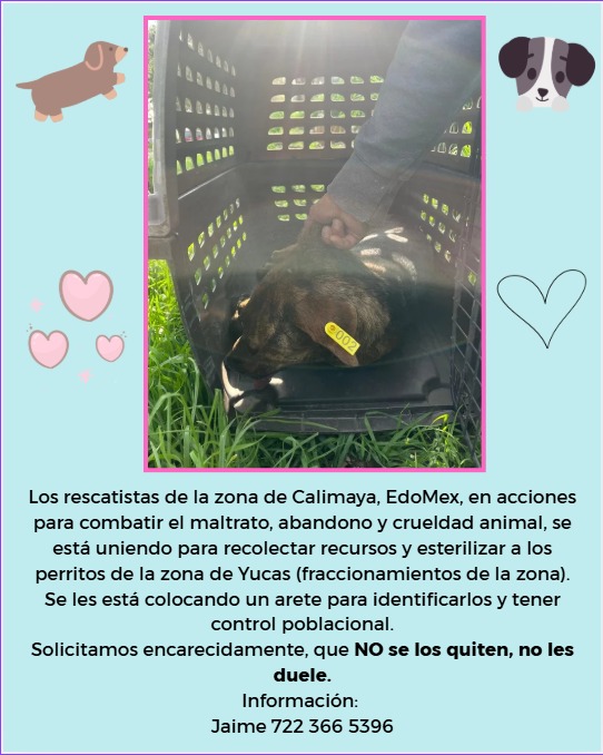 <a href="/CalimayaMx/">Calimaya</a> <a href="/HCalimaya/">H. Ayuntamiento de Calimaya 2022 - 2024</a>