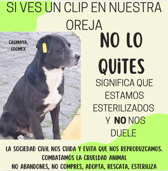 <a href="/CalimayaMx/">Calimaya</a> <a href="/HCalimaya/">H. Ayuntamiento de Calimaya 2022 - 2024</a>