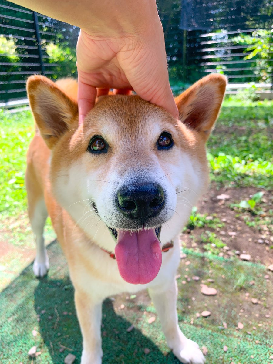 犬猫生活 商品一覧 | 犬猫生活公式ショップ