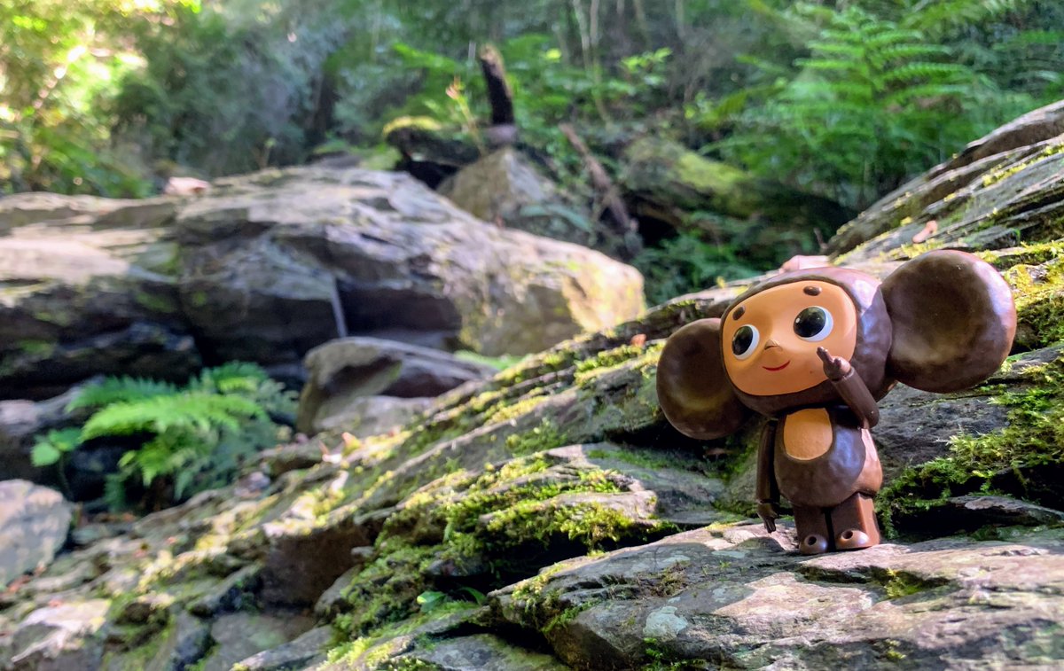 チェブラーシカ - Search / X