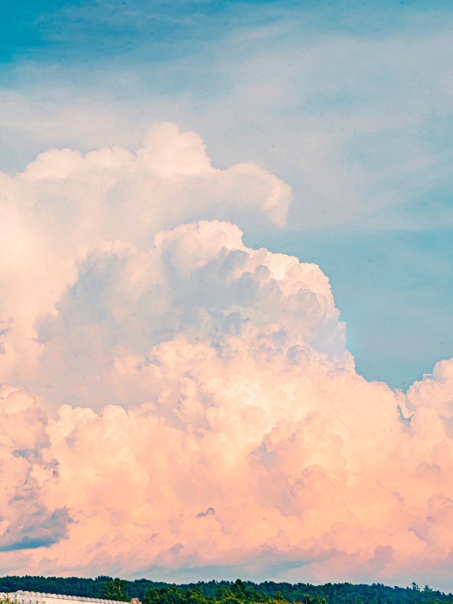 おはよ。穏やかな1日を願う朝。
今日も、ゆるっとのんびりほどほどにがんばろ〜ヽ(・∀・)