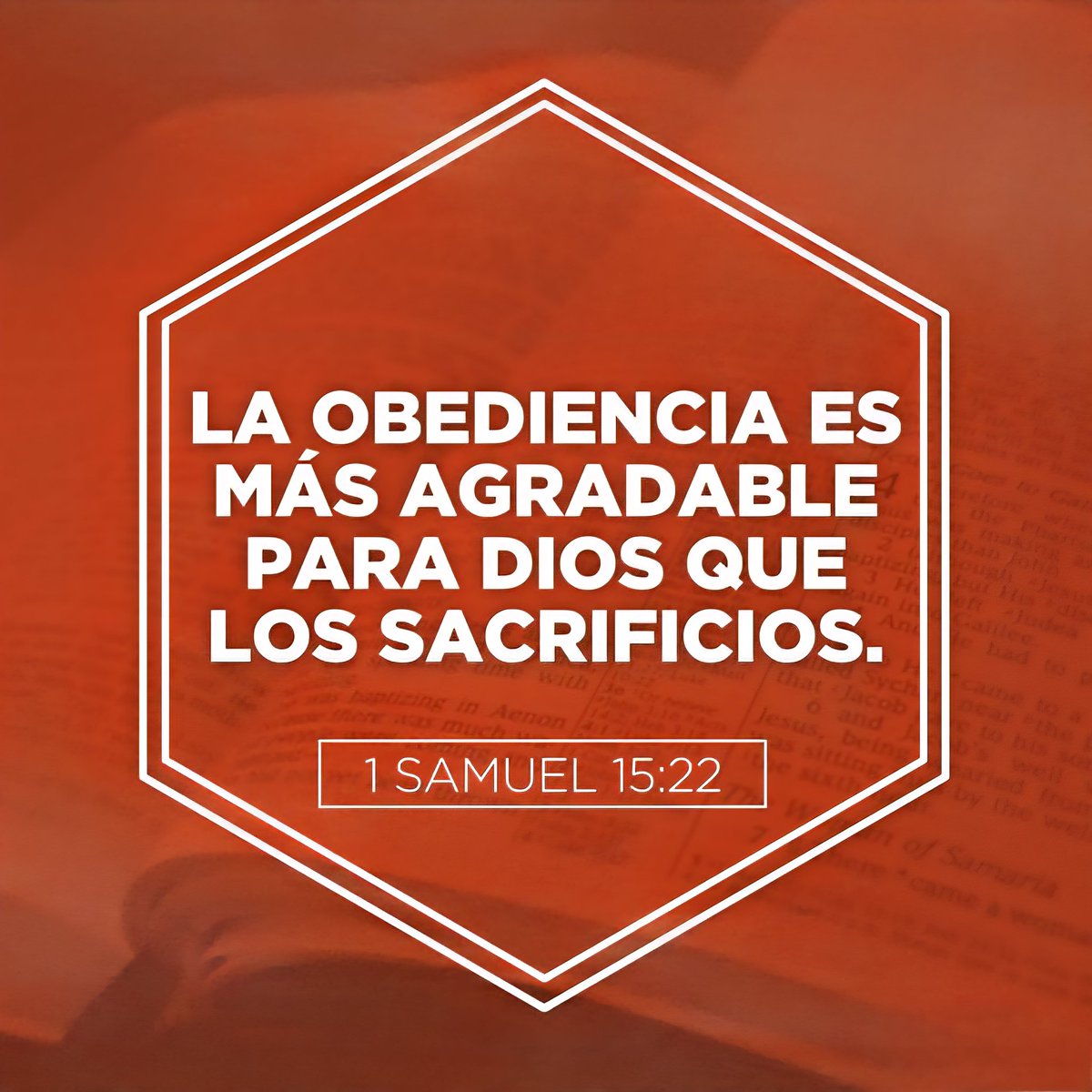 LadycarolR's tweet photo. Porque misericordia quiero, y no sacrificio, y conocimiento de Dios más que holocaustos.
Oseas 6:6 https://t.co/AFwqbKpTCM