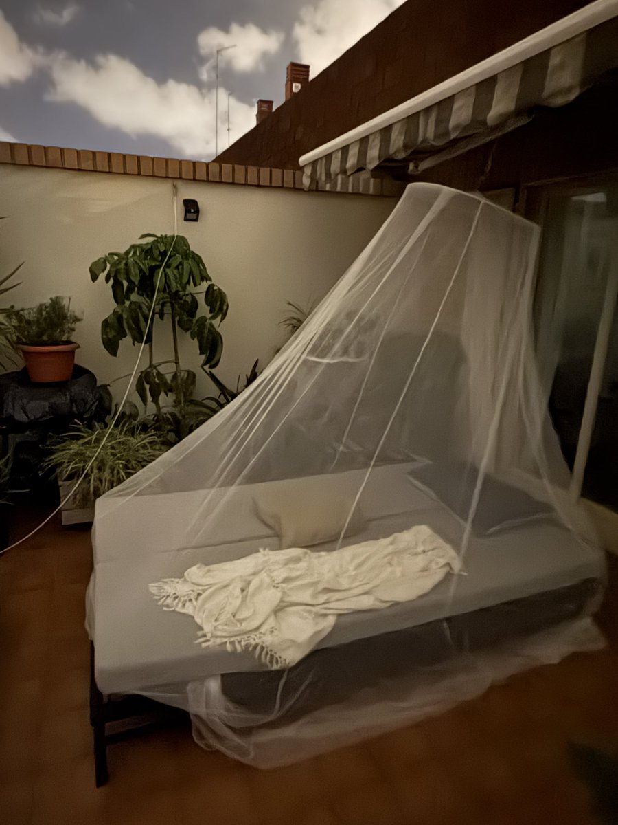 Mi suite nocturna con vistas a las estrellas: