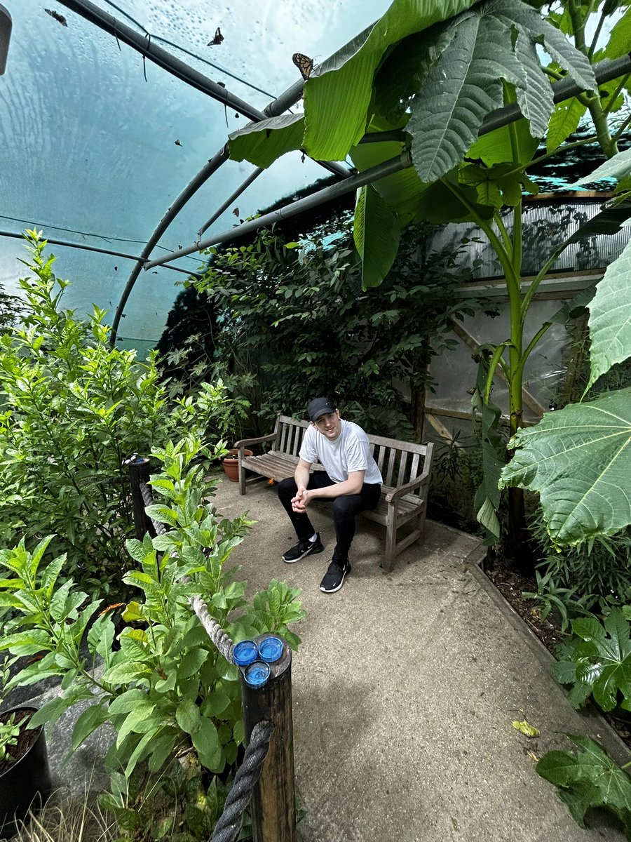 Amanda-Michelle ‎ 🇨🇺 tweet media