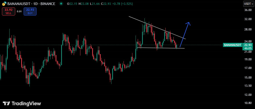 $banana structure looking really nice.

Send it back to +$30