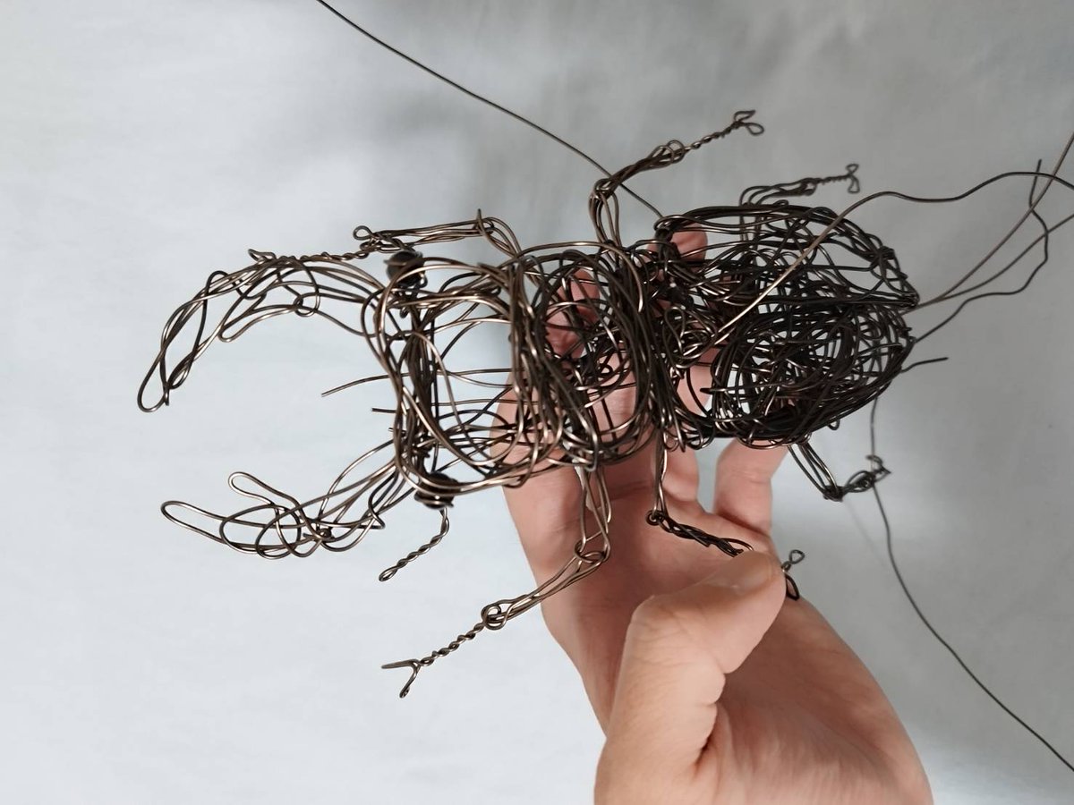 whitecolorcrow's tweet image. 虫捕り行きたーーーい‼️
#wireart #針金アート
#夏の創作クラスタフォロー祭り