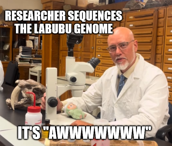 📰 BREAKING: Dean Borrok sequences the Labubu genome; results confirm it’s 100% “Awwwwwwww.”