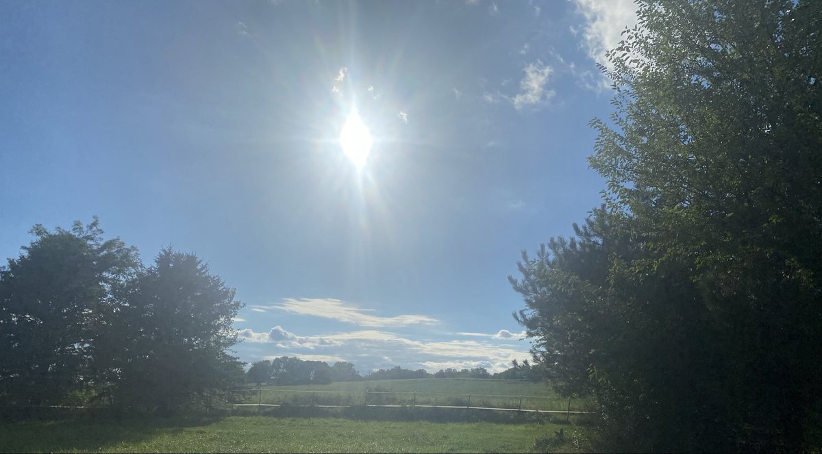 Perfect evening in Chicagoland