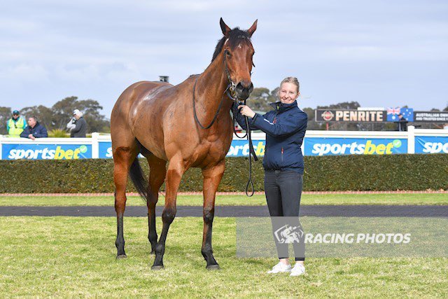 tequilaqueen07's tweet photo. @HayfieldsRacing #UncleMo mares do it again as Toronado mare #PRINCESSQUE o/oUncle Mo mare #SHESONQUE , salutes at Sandown Yday https://t.co/2u5GmGLLVw