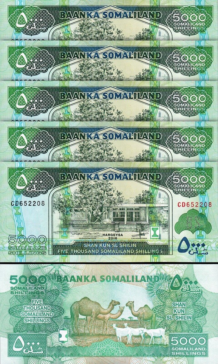 ما يُميز هذه العملة ليس فقط رمزيتها السياسية، بل قدرتها على الصمود في وجه التحديات. فقد أثبتت العملة المحلية فعاليتها في تسهيل المبادلات التجارية، ودعم الأسواق، والحفاظ على الاستقرار النسبي في أسعار السلع، رغم العزلة الدولية وانعدام الدعم الخارجي.
#Somaliland