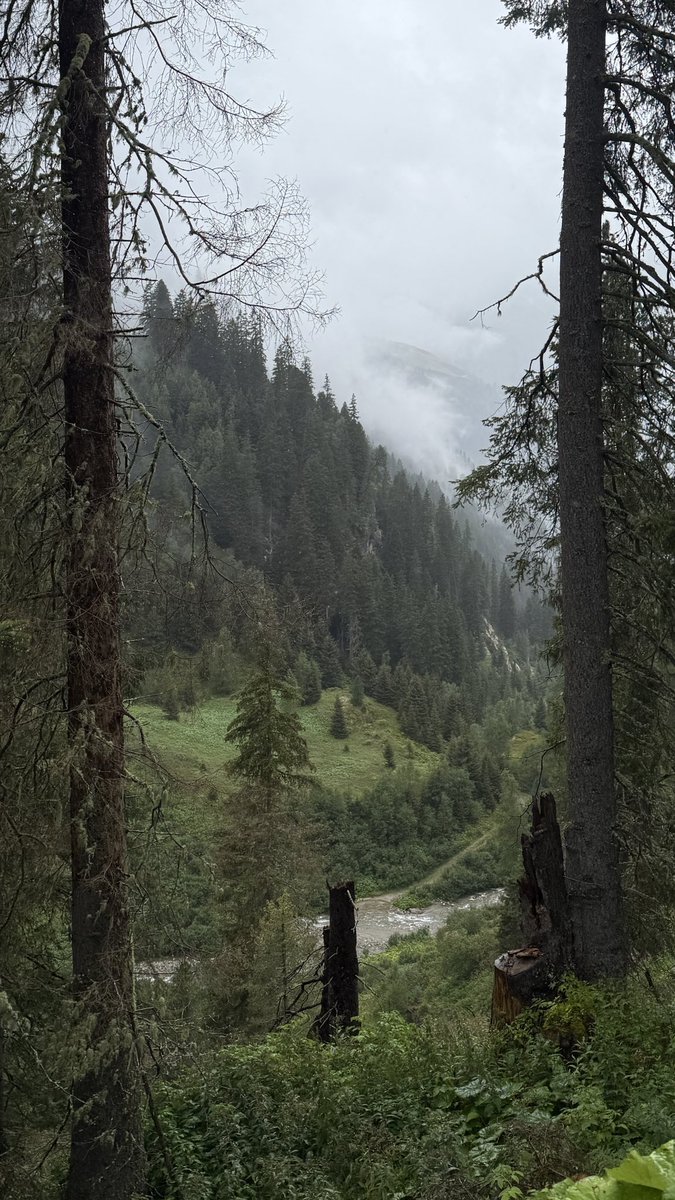 lnnrtnm's tweet photo. today i hiked 15km into the fog 🌧️ https://t.co/Afi6pMshsB