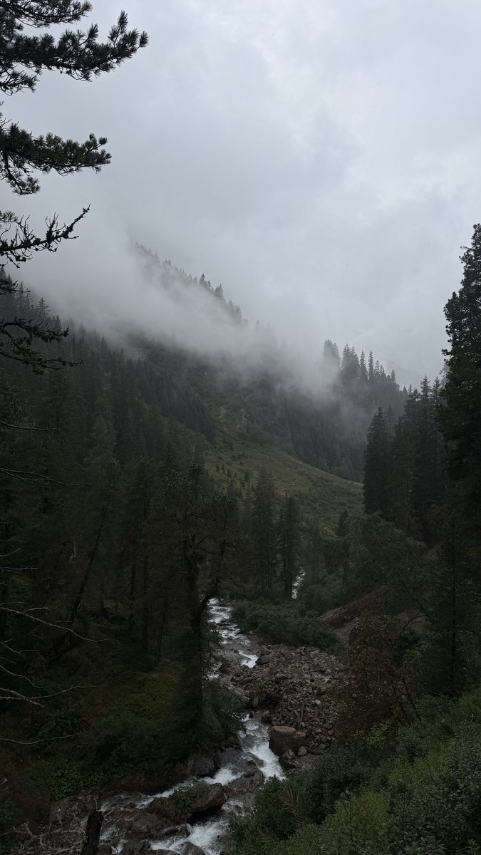 lnnrtnm's tweet photo. today i hiked 15km into the fog 🌧️ https://t.co/Afi6pMshsB