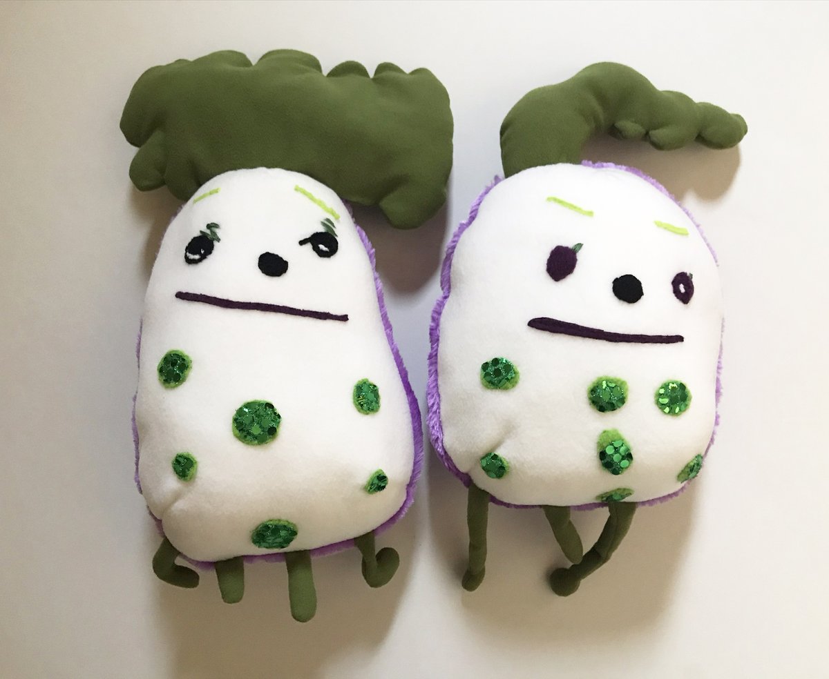 PremonJP's tweet photo. TWINS?

https://t.co/AptmNIULJK 
#プリモン 
#子供の絵 
#ぬいぐるみ 
#お腹のドット
#可愛いね https://t.co/dg7NSoBL2G