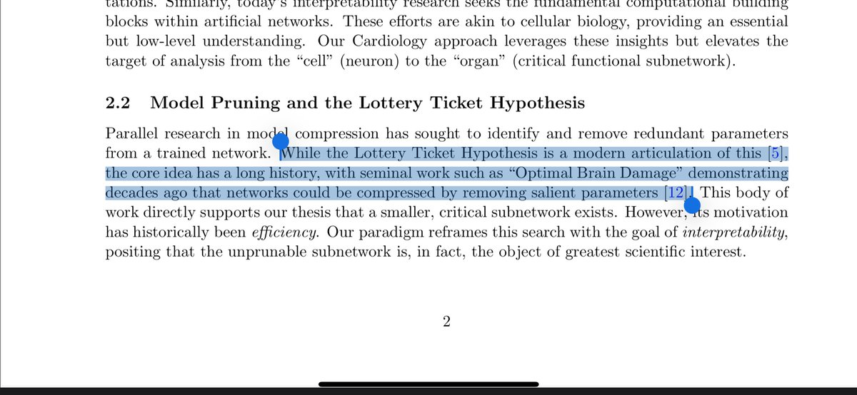 Angelica Chen tweet media