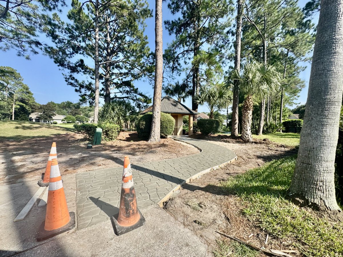 David B Levin tweet media