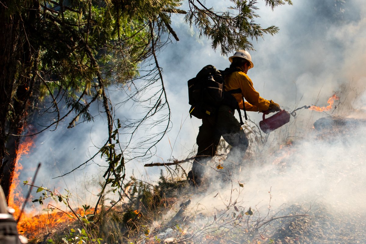 Forest Service, Pacific Southwest Region tweet media