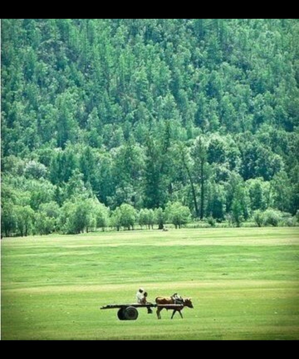 "Хүмүүсийн итгэлийг алддаггүй хүн л бусдад итгэмтгий байдаг хэмээж ..."

ӨГЛӨӨНИЙ МЭНД 🌤️