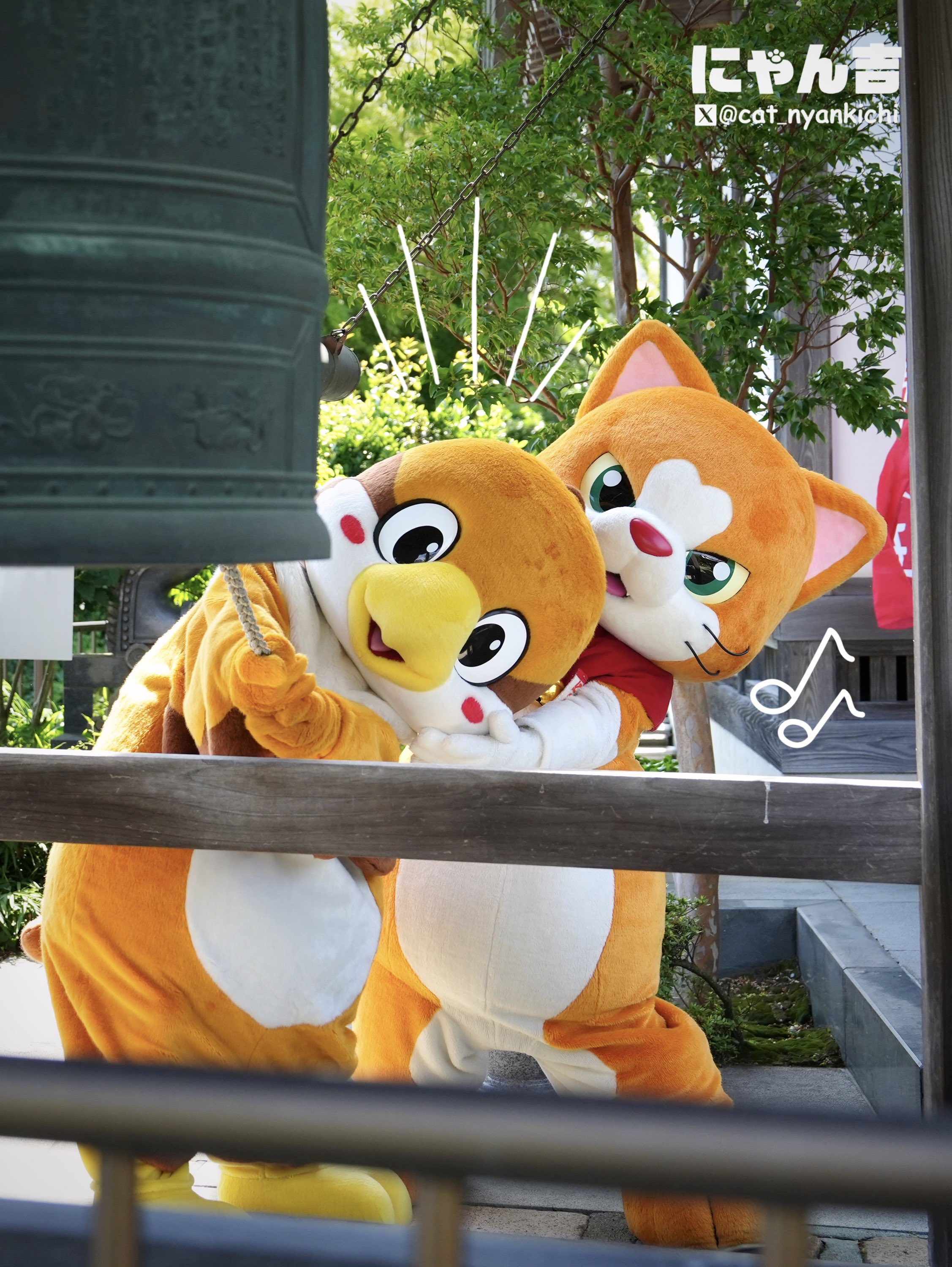 ニャン吉 旅猫ニャン吉 (@noraneko_nyankichi) · Instagram photos and Reels