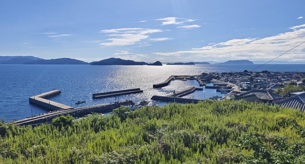 太陽ギラギラ、クマゼミシャンシャン、夏が終わらない…☀