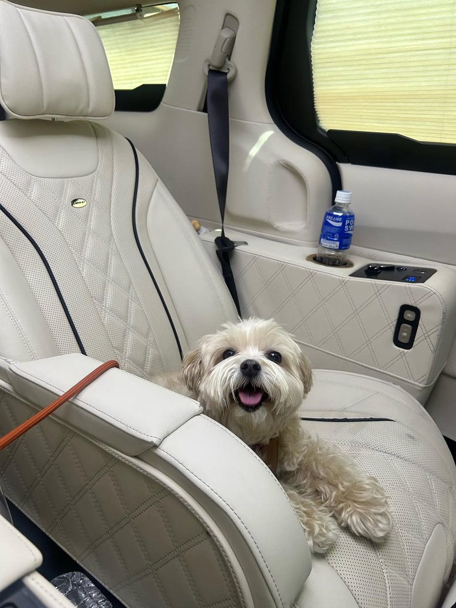 pjy_513's tweet photo. 250820 정연 인스타그램 (1)
🐶:눈나랑 촬영했다. 조금 피곤하고 많이 즐거웠다🍀
#박정연 #Parkjungyeon https://t.co/d4Kgtug6pK