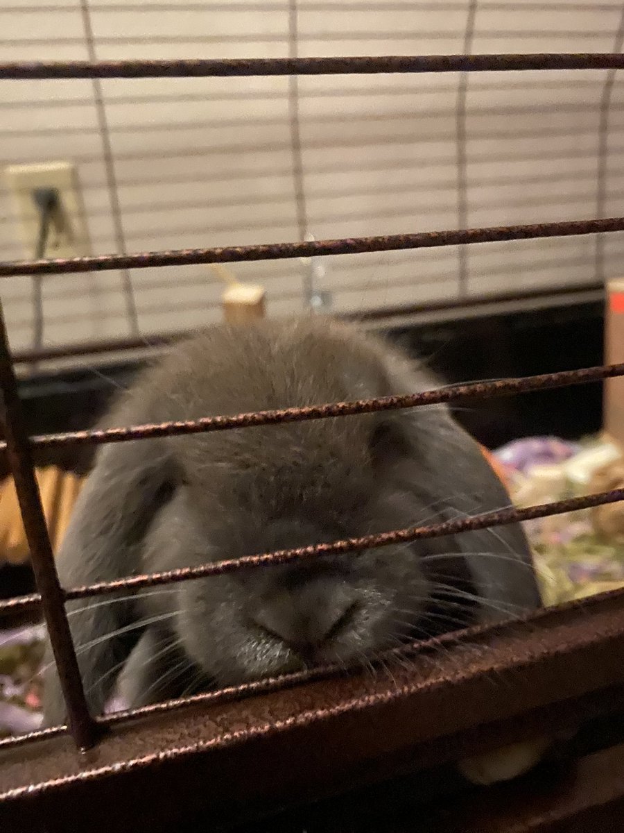 twitch.tv/psyer_   BIG ANNOUNCEMENT SOON