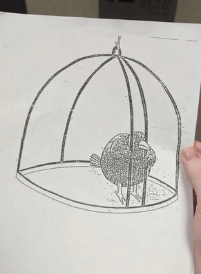 Confession #279: "I'd love to properly join 80stwt but:  
1. My acc is multifandom 
2. I mostly tweet in Spanish 
3. I still have a lot to learn of the 80s 
4. Everyone is already friends with each other 
5. Most of you are minors and I'm almost 26 yo"