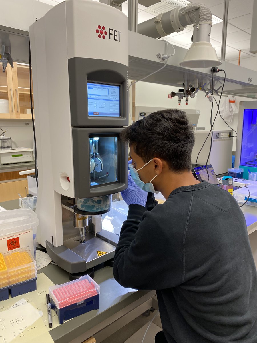 Max Valenstein, MD, PhD tweet media