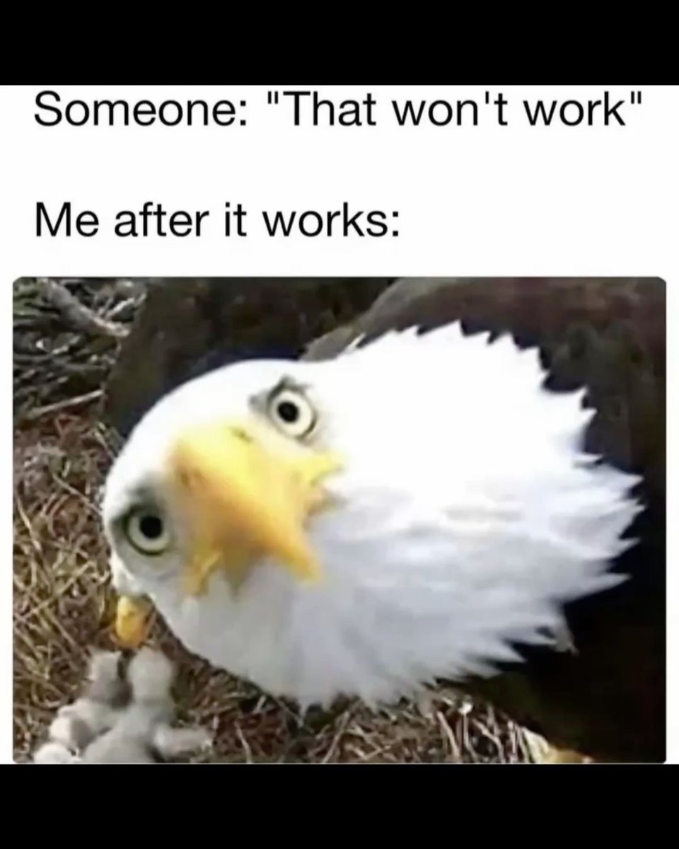 Wild TikToks (@wildtiktokss) on Twitter photo 