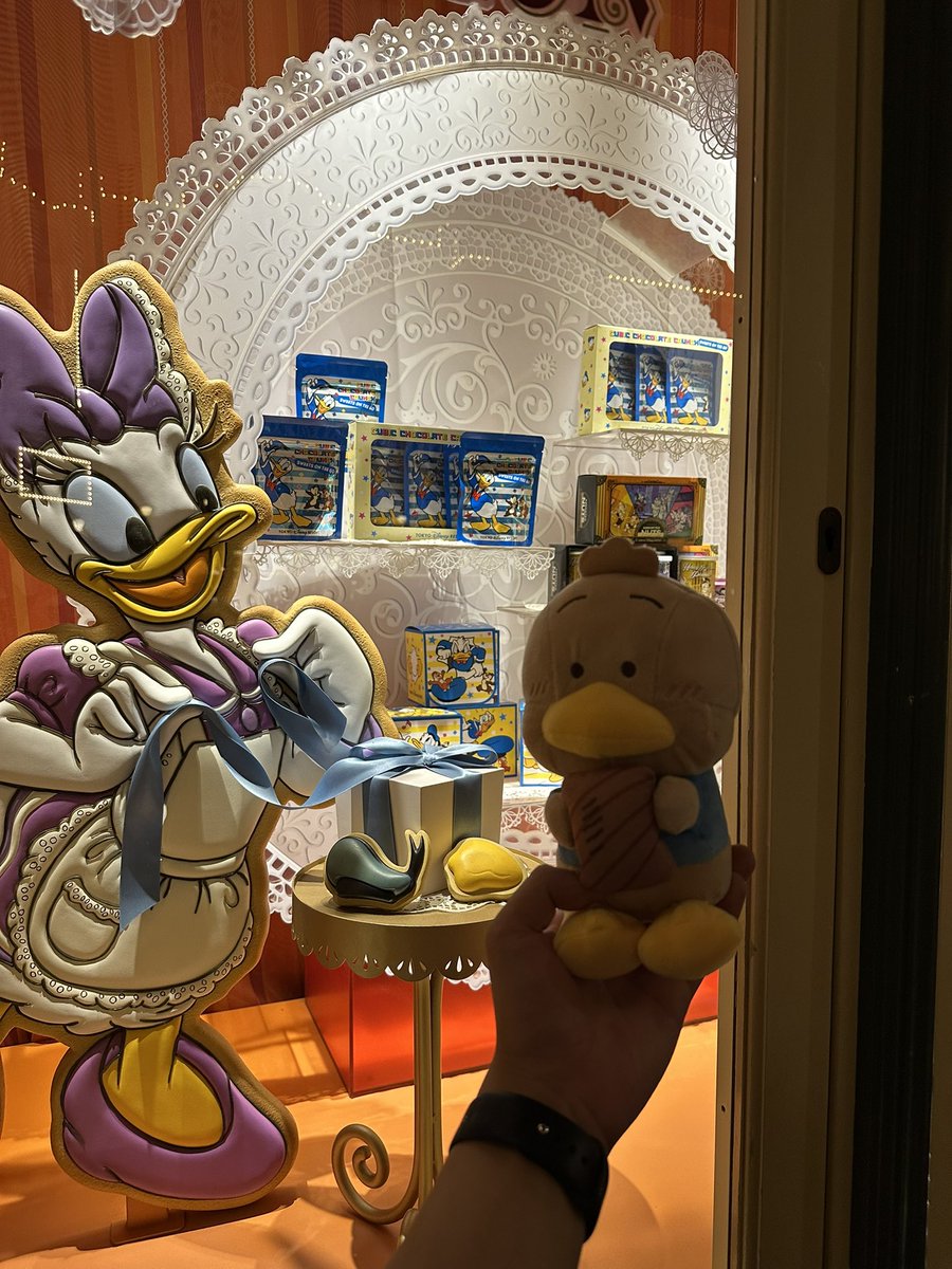 夢の国にお邪魔したアヒル🪿