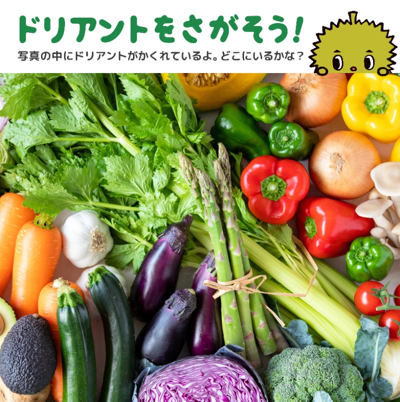 【今週の #ぷっぷる コンテンツ】

今回は「ドリアントをさがそう！」👀

先日誕生日を迎えたドリアントが写真の中にかくれているよ📸
どこにいるかわかるかな？？