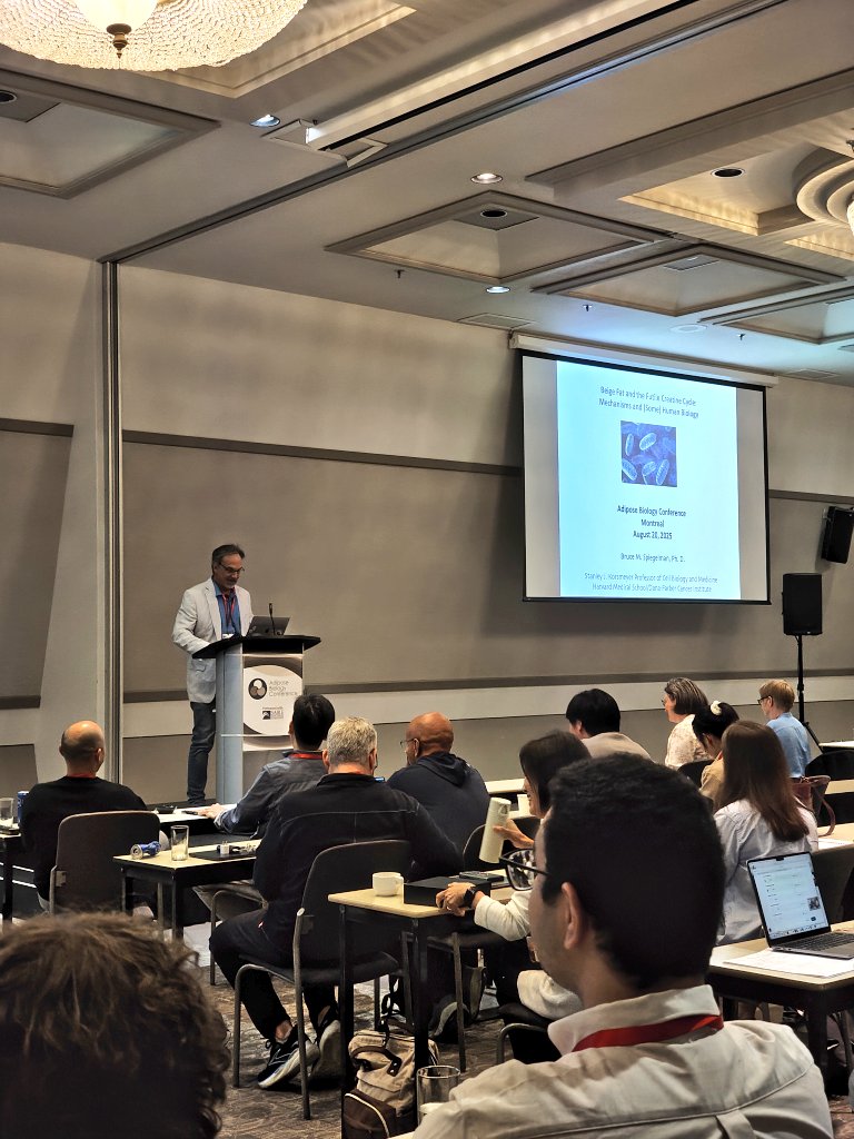 🌟 Last talk of the conference!
Our keynote speaker, Bruce Spiegelman from Harvard University 

Today, Bruce is giving us a masterclass on beige fat 🔥 the perfect way to wrap up #ABC2025 with the best science!

A huge thank to all the amazing speakers!!! ❤️

#AdiposeBiology