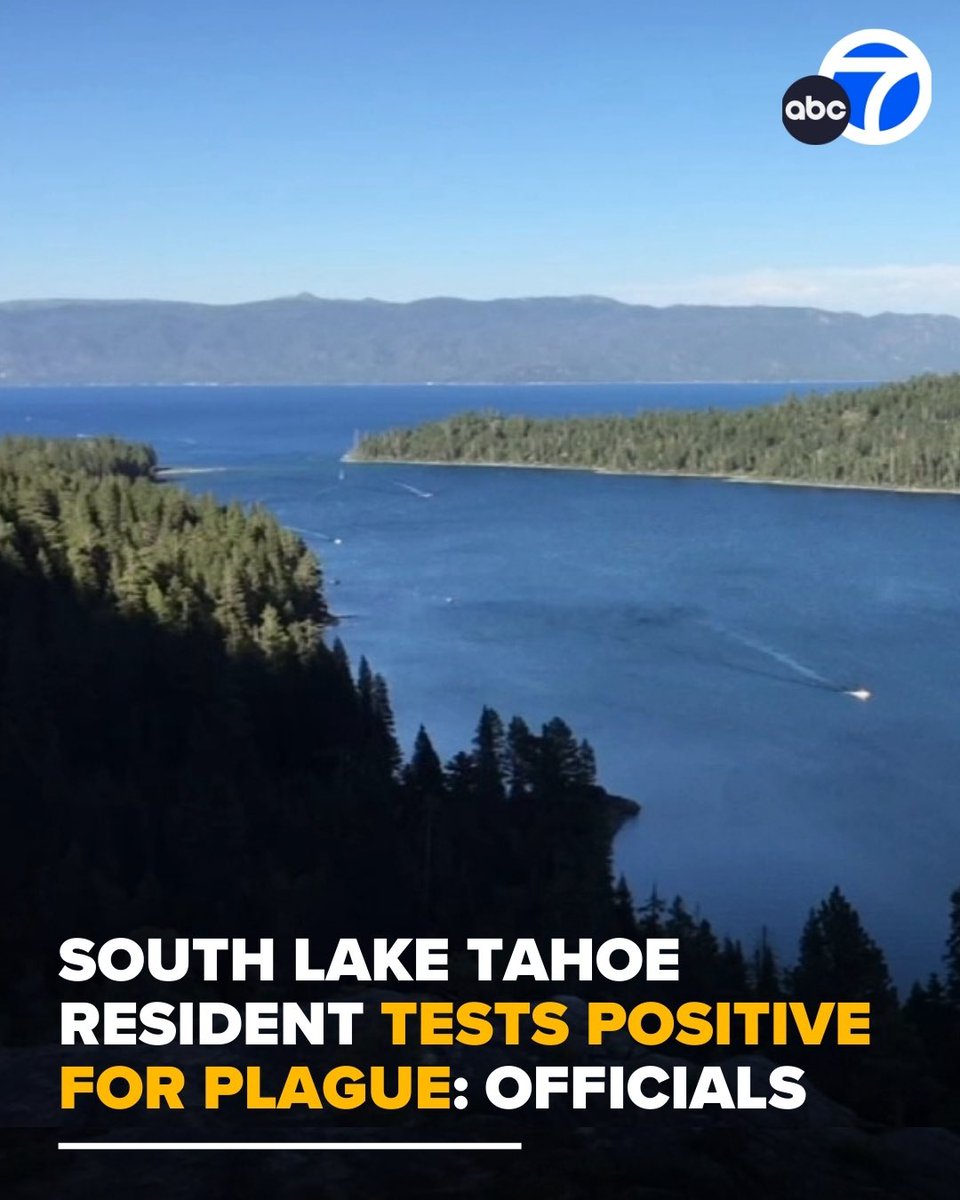 🚨BREAKING: AMERICANS ARE NOW TESTING POSITIVE FOR THE PLAGUE

Health officials just confirmed a case of the actual plague in South Lake Tahoe, California. In 2025.

First it was “rare viruses,” then mystery outbreaks, now the plague is back in America.

How much crazier does
