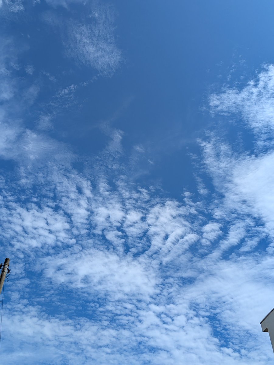 おはようございます！
気持ちいいくらいの晴れ！でも暑いです…。
気が付けば8月も終わりかけ。9月からは転職希望の方々の相談案件がすでに入っています。
実は先日、ポッドキャストのインタビューを受けました！
出来上がりが楽しみです！
それでは今日もよろしくお願いします！