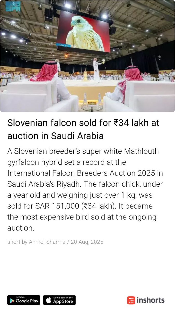 Rizwan Ashraffi (Ummati E Mohammed ﷺ) (@rizwanace) on Twitter photo Shame on that person who bought it, placing more value on an animal than humans.
#GazaBleedingWorldSleeping Shame on that person who bought it, placing more value on an animal than humans.
#GazaBleedingWorldSleeping