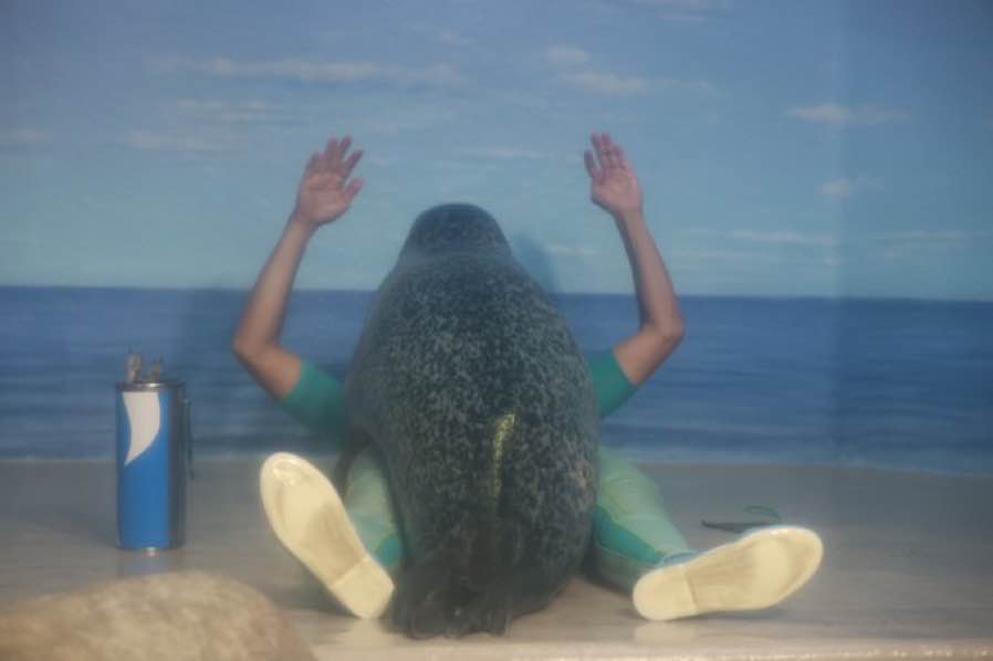 evil seal fuses with caretaker