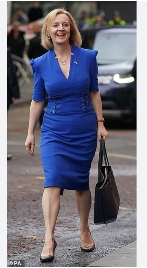 RaukawaDiver's tweet image. I'm an old lady. The real bullies are those who cut kiwi women pay because they can't do proper sums. Never trust a Libertarian in a  "The Fold" $2000 blue designer dress..#Project10 was Willis / Seymour plot ...