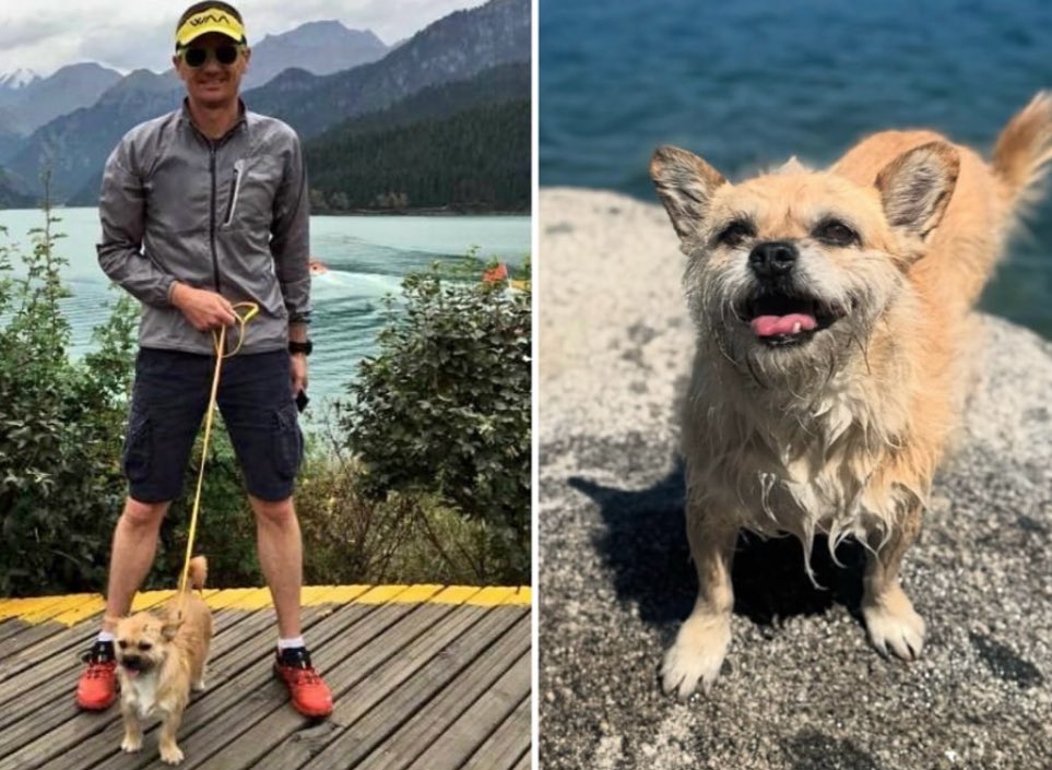 A stray dog chose an ultramarathoner as her human—running 77 miles at his side, sleeping in his tent, and sealing the deal when he took her home for good.